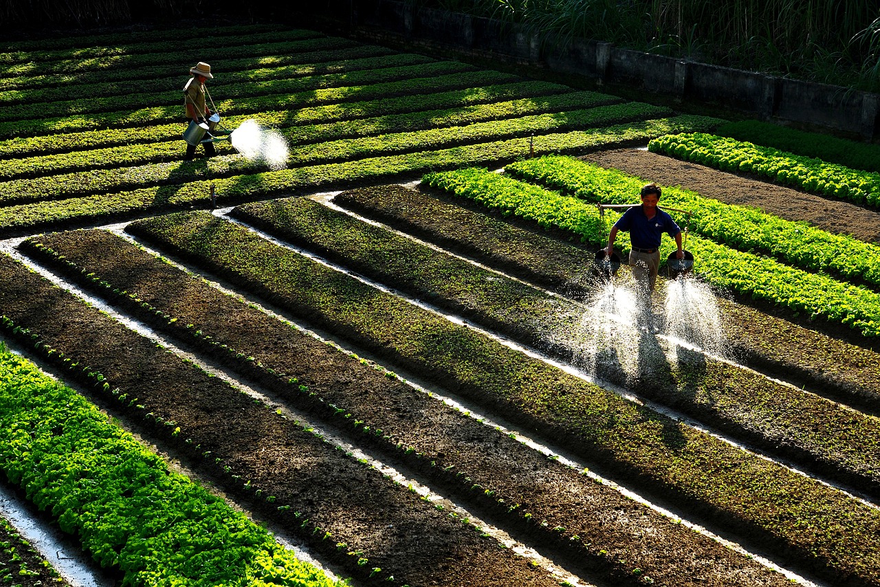 Curso Noções em Engenharia Agropecuária